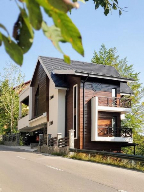 Casa Larisa Antonia Apartments Sinaia
